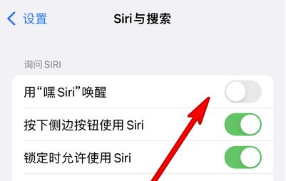 呼兰苹果13维修分享iPhone 13怎么唤醒 Siri  