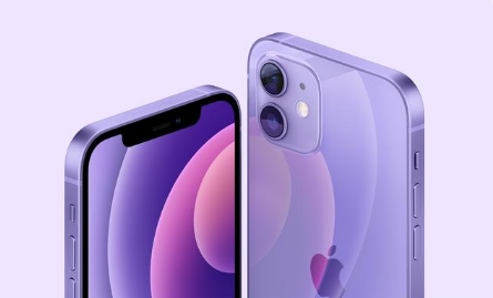 呼兰苹果手机维修分享紫色版iPhone 12有什么技术亮点 