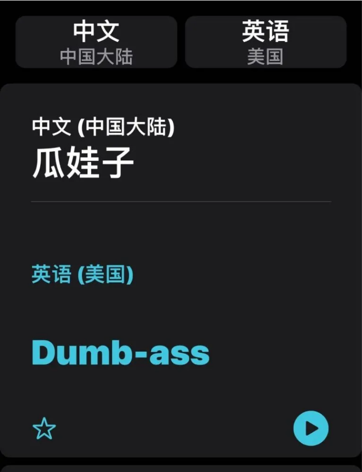 呼兰苹果手机维修分享iOS14的“翻译太懂了”怎么用 