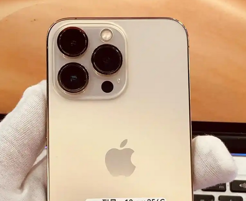 呼兰苹果13维修中心分享如何在iPhone13上设置动态壁纸 呼兰苹果13维修中心分享如何在iPhone13上设置动态壁纸